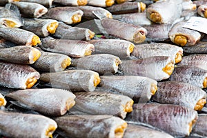 Stuffed fish or seafood at asian street market