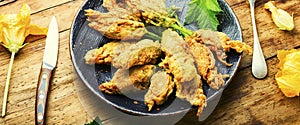 Stuffed fried zucchini flowers on the plate,extra wide