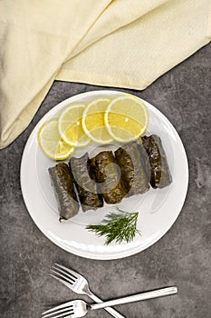 Stuffed grape leaves with olive oil on a dark background. Delicious dolma yaprak sarma.