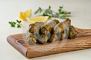 Stuffed grape leaves  rolls dolma. Traditional middetarean ,caucasian ,turkish and arabic  cuisine  . Closeup