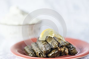 Stuffed grape leaves -Sarma- dish up with a lemon slice and a bowl of homemade yogurth on a white background, close up. photo