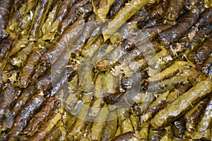 Stuffed grape leaves in Turkish style