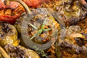 Stuffed green bell peepers in dish, closeup.