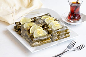 Stuffed leaves with olive oil on a white background. Local name zeytinyagli yaprak sarma