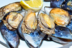 Stuffed mussels in a white dish, midye dolma. Turkish cuisine. Snack.