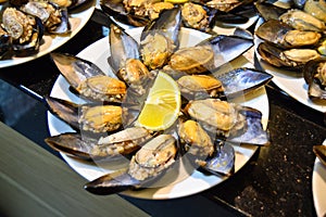 Stuffed mussels in a white dish, midye dolma. Turkish cuisine. Snack.