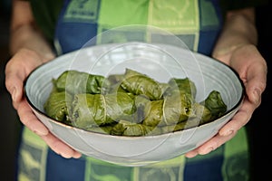 Stuffed Patience dock leaves with Beef, Rice And Vegetables