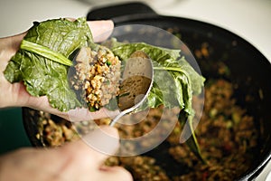 Stuffed Patience dock leaves with Beef, Rice And Vegetables