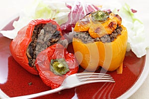 Stuffed red and yellow peppers