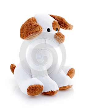 Stuffed Toy Dog for Child