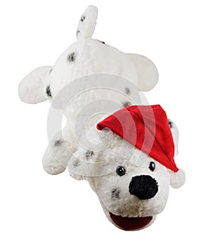Stuffed toy dog and santa hat