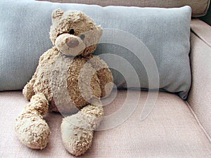 Stuffed Toy Teddy Bear on Couch with Pillow photo