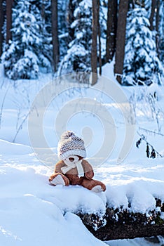 A stuffed toy teddy bear wearing a scarf and a hat sits on snow in the winter forest on a sunny day.