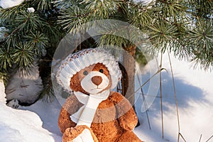 A stuffed toy teddy bear wearing a scarf and a hat sits on snow in the winter forest on a sunny day.