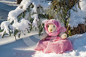 A stuffed toy teddy bear wearing a scarf and a hat sits on snow in the winter forest on a sunny day.