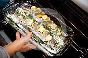 Stuffed trout with lemon dish