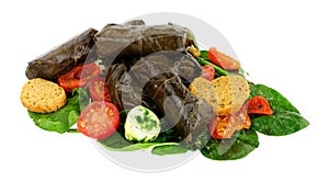 Stuffed vine leaves filled with rice and herbs with tomatoes and cheese balls