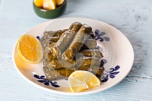 Stuffed vine leaves with lemon/sarma/dolma from Turkish and Greek cuisine