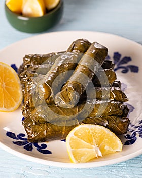 Stuffed vine leaves with lemon/sarma/dolma from Turkish and Greek cuisine