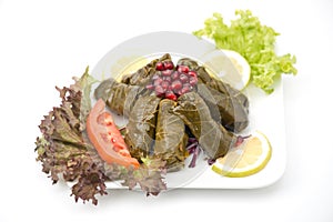 Stuffed vine leaves plate lebanese cuisine