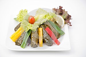 Stuffed vine leaves plate lebanese cuisine.