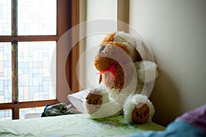 Stuffy animal of dog is on the bed. This doll is a present from your lovable person.