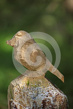 Stump Bird on green background