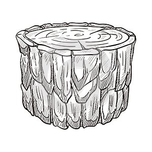Stump from forest or woods, wooden raw material isolated sketch