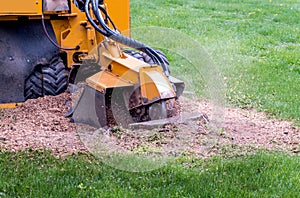 Stump grinder eating up a stump