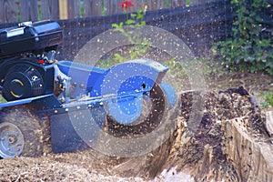 Stump Grinder photo