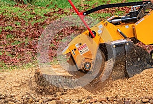 Stump Grinder Removing A Cut Tree