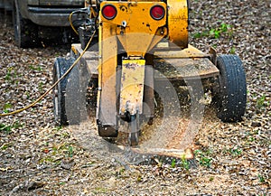 Stump Grinder Removing a Tree Stump