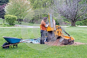 Worker grinds up a stump with a large machine photo