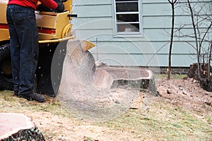 Stump grinding