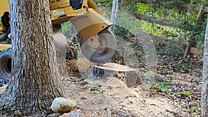 Stump grinding machine hard at  work photo