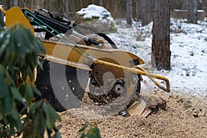 Tree stump removing process with yellow stump grinder photo