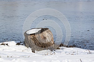 Stump - RAW format