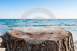 Stump with sea background.