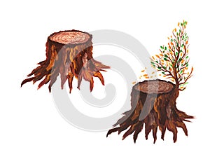 Stump set. Brown stumps with beautiful bark and a branch with autumn leaves isolated on a white background. Nature. Ecology. Tree