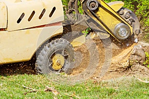 A stump is shredded with removal, grinding in the stumps and roots into small chips photo