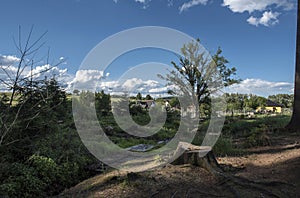 A stump in the woods near a small village and the sunshine