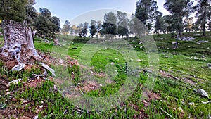 Stumped, lost for.....