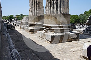 Stumps of massive stone columns of the Apollo temple at Didyma,