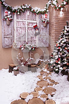 Stumps path leeds to Christmas tree