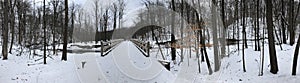 A STUNNIG PANORAMA OF A PARK IN PARMA, OHIO, USA
