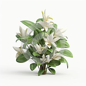 Stunning 3d White Flowers With Tropical Symbolism On White Background