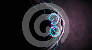 Neon visualization of cellular binary fission