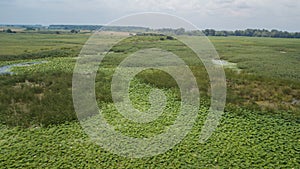 Stunning Aerial Drone Stock Photography of Flowering of lotuses on the lake near the road.