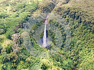 Stunning aerial drone view of Akaka waterfall 135m tall on the Big Island of Hawaii, USA. The waterfall is part of Akaka Falls S photo
