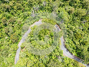 Stunning aerial drone view of a windy road route 12 leading through Waipoua Kauri Forest